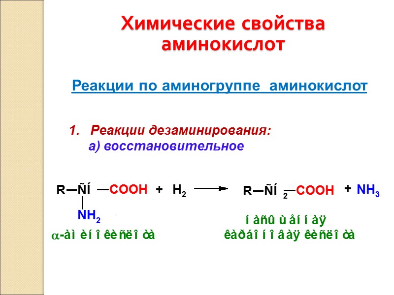 Химические свойства аминокислот Реакции по аминогруппе  аминокислот 1.   Реакции дезаминирования: 